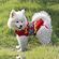 imageUrl_2