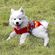 imageUrl_5