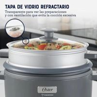 Arrocera 3 en 1 de 15 Tazas DiamondForce Oster CKSTRC15DFSKE 053