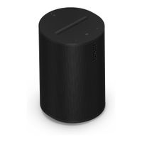 Parlante Inteligente Sonos Era 100 Con Wifi Y Blutooth Negro
