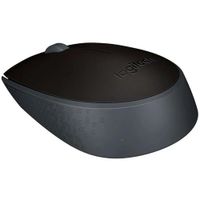 Mouse Logitech Inalambrico M170 Negro