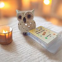 PACK HORNITO QUEMADOR BUHO II MAS WAX MELTS