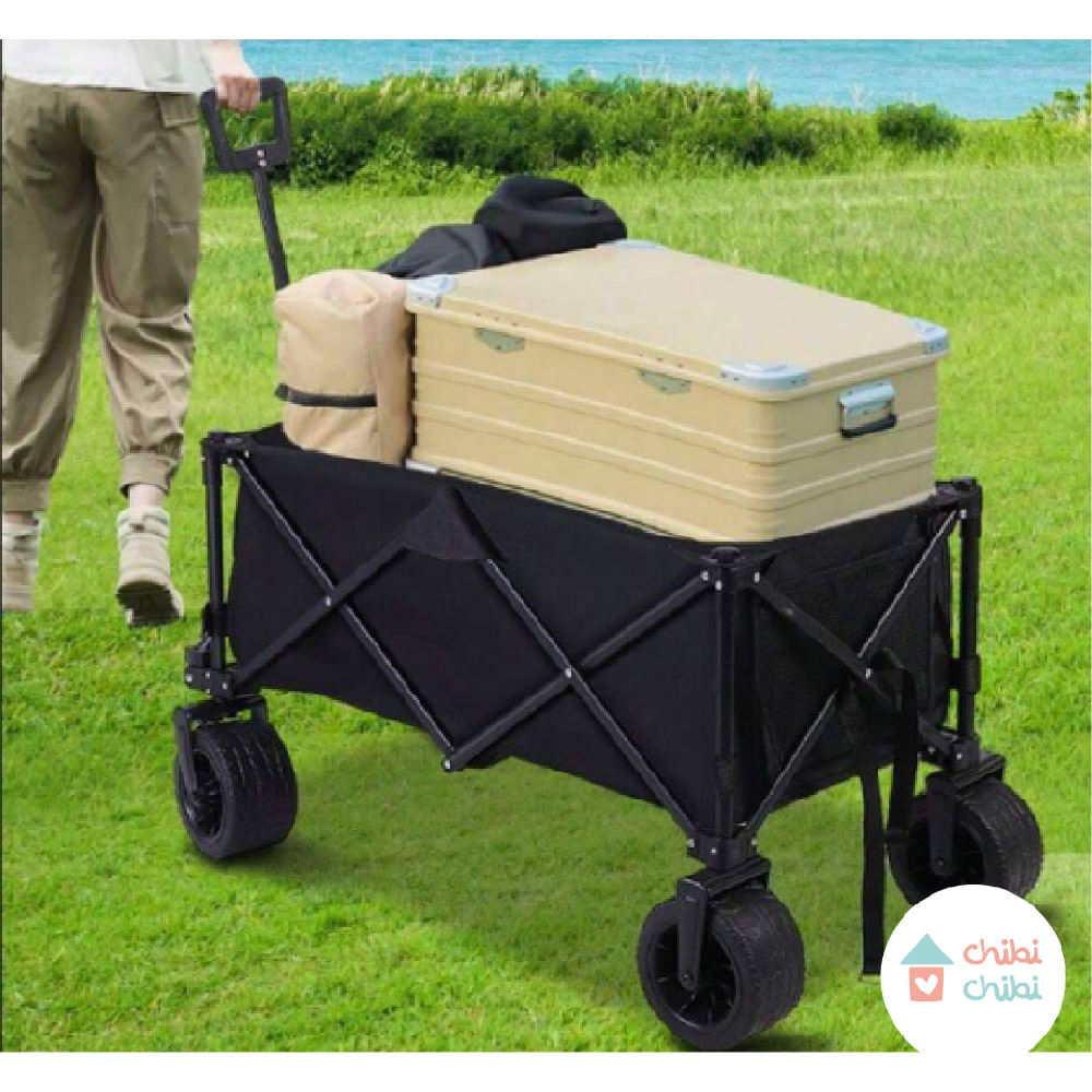 CARRITO PLEGABLE NEGRO
