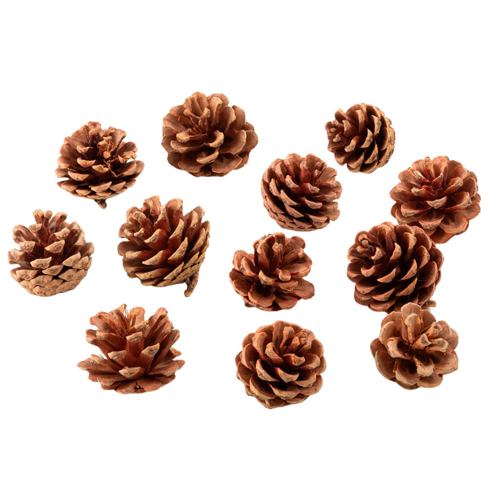 Adorno DECO HOME Pinos Decorativos x12Pc Bosque Natural