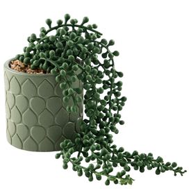 image-81c4092a2be341a8b1cfce6b891e3c8b