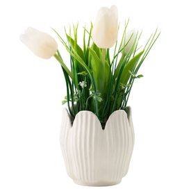 image-e53d5b70f6ca45ed8ac8aa4beccf7ab3