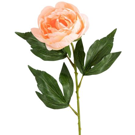 image-281eca4fbf634d65aae7611aafe416af