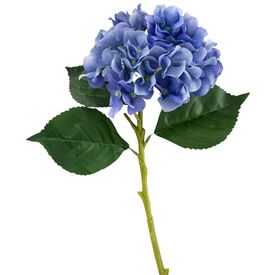 image-d0e14f0564b642f480e23cea23e2ce27