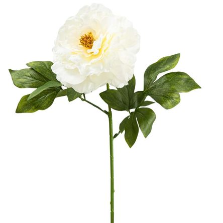 image-214f16c617c84b22b0f37f8d247f2ea9 image-214f16c617c84b22b0f37f8d247f2ea9