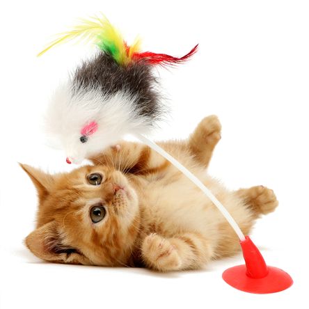 Juguete Ratón con Resorte