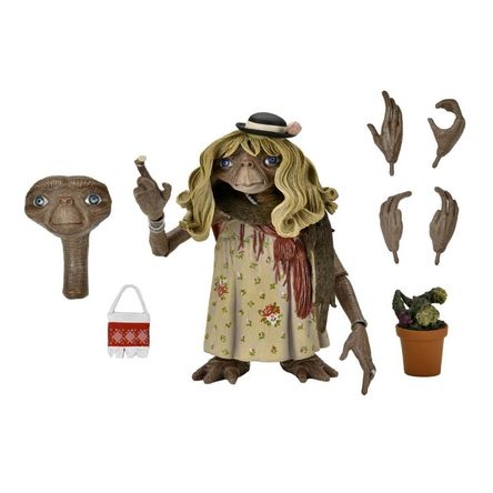 imageUrl_1 imageUrl_1