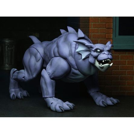 imageUrl_1 imageUrl_1