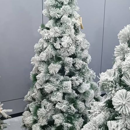 imageUrl_1 imageUrl_1