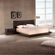 imageUrl_4