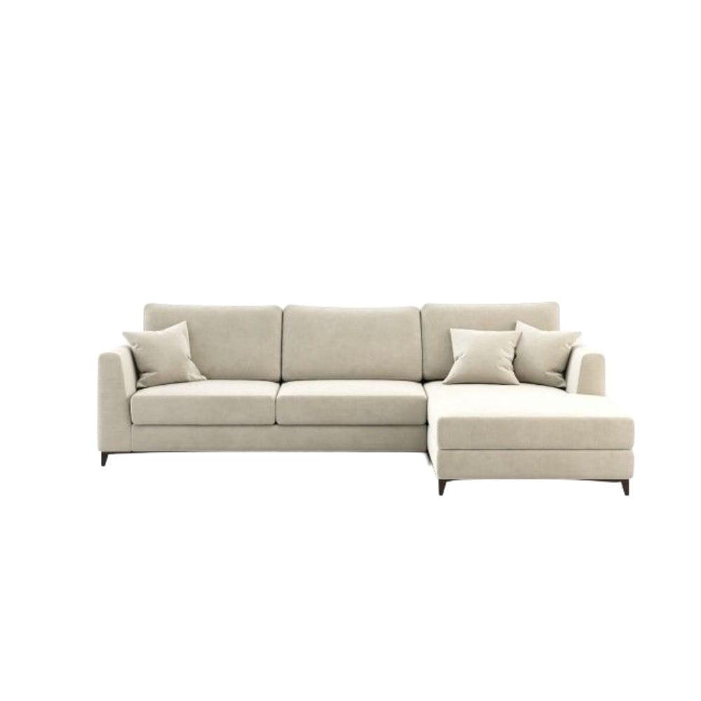 Seccional Derecho Erick CN