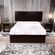 imageUrl_4