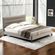 imageUrl_5