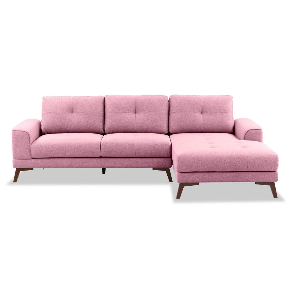 Seccional Derecho Janick Rosa Palo Shego