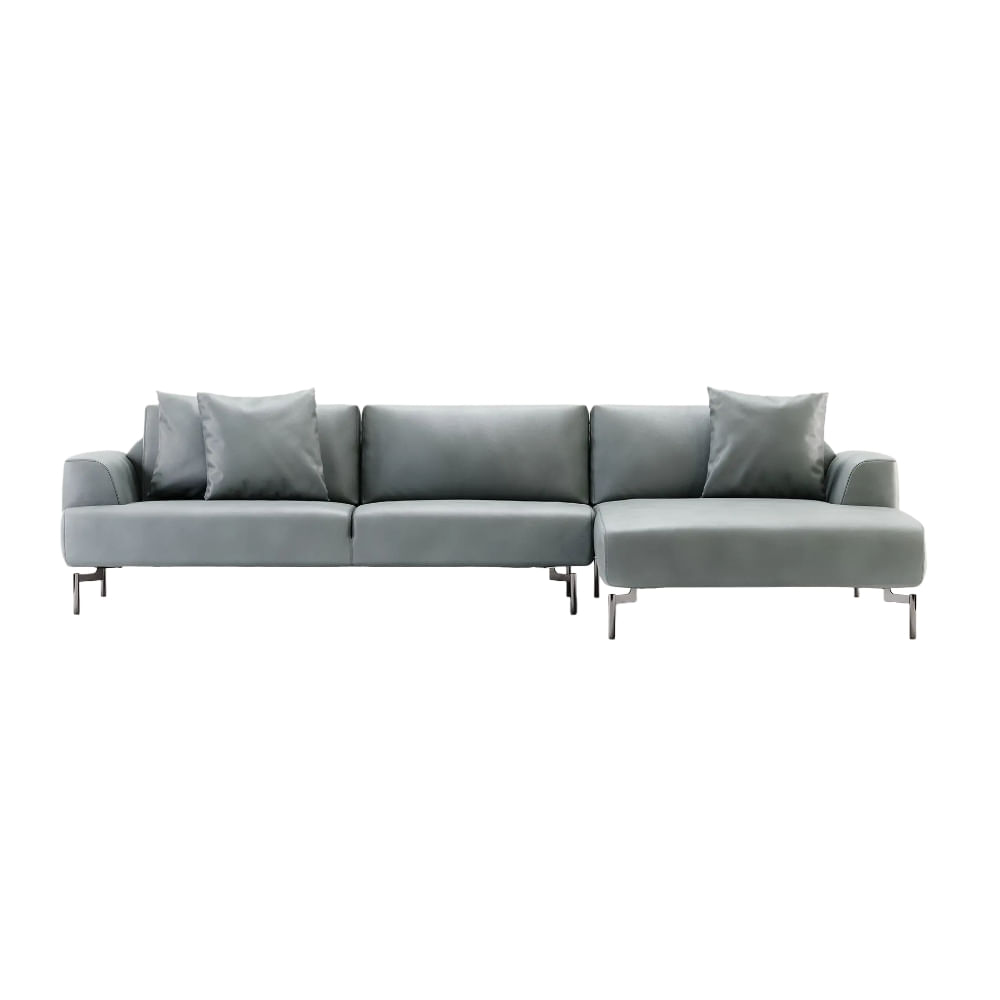 Seccional Derecho Starlling Shego