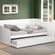 imageUrl_4