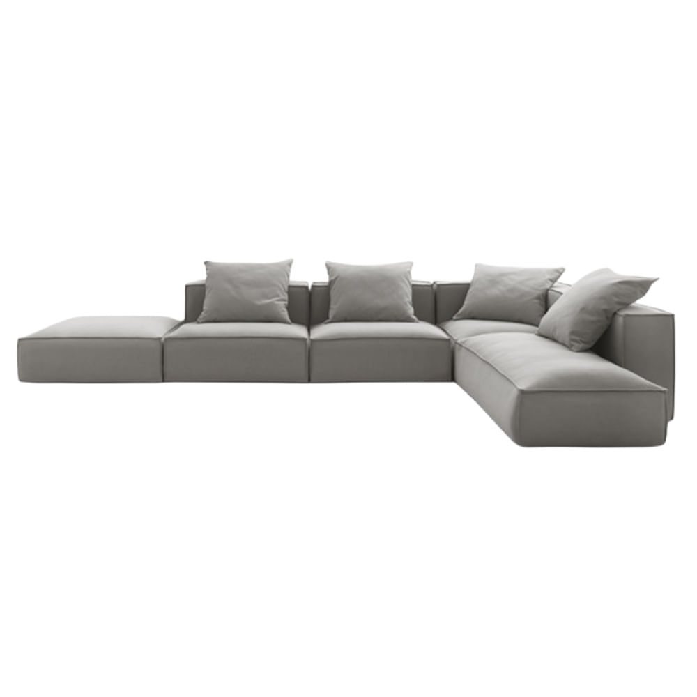 Seccional Derecho Pavel Model arq