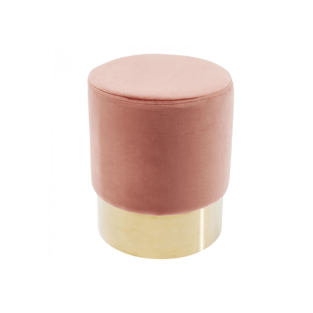 Puff Targery Salmon Model