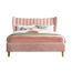 imageUrl_1