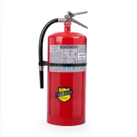Extintor Polvo Químico Seco ABC BUCKEYE de 20 LB Certificado