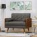 imageUrl_5