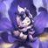 imageUrl_6