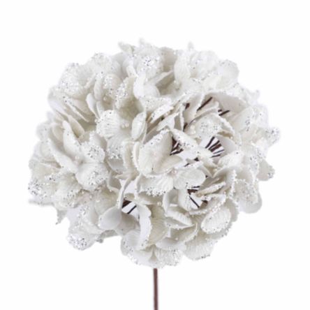 image-88c7b716954c448185ebe6cb92273fc5