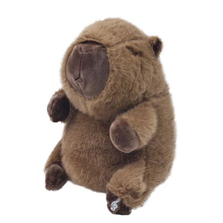 image-66eb846e86644a1bafaeb1eae3476dee