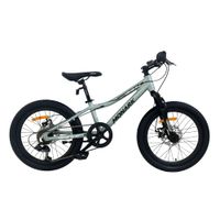 Bicicleta Aro 20 Niño Monark Mirage Al Gris Claro/Negro