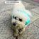 imageUrl_6