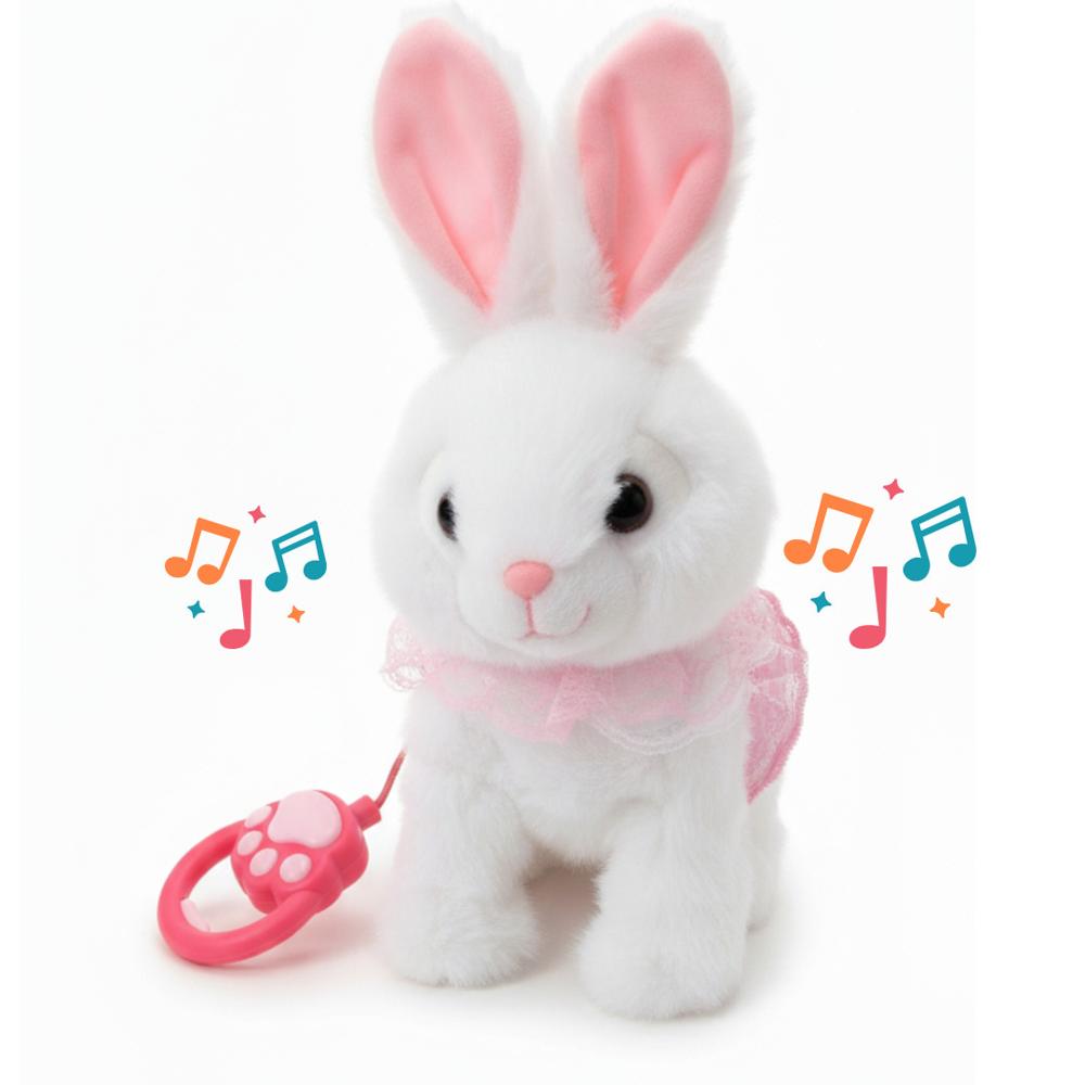 imageUrl_1 imageUrl_1