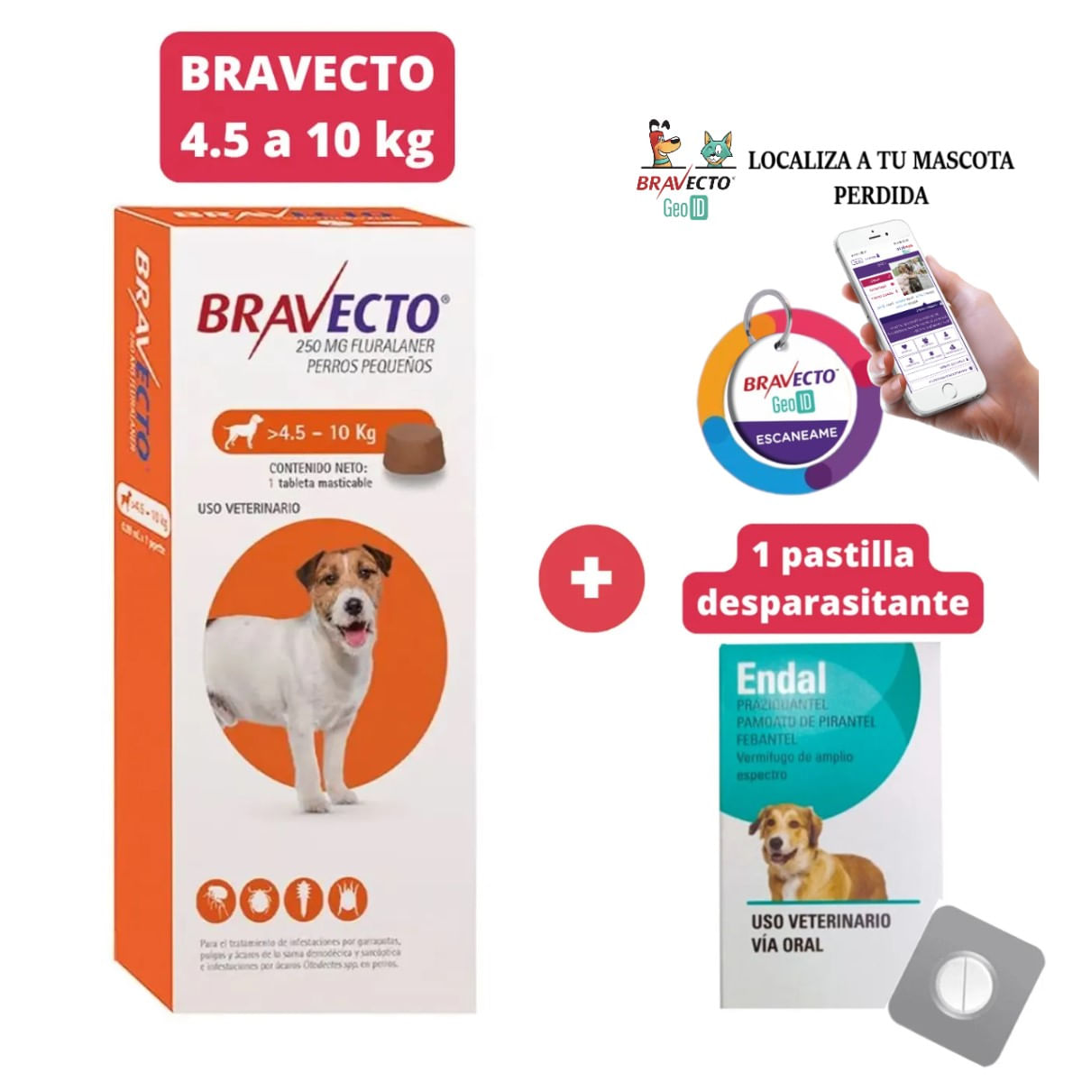 Combo Antipulga Bravecto 4.5 - 10 kg más Gratis Geolocalizador y Endal Plus