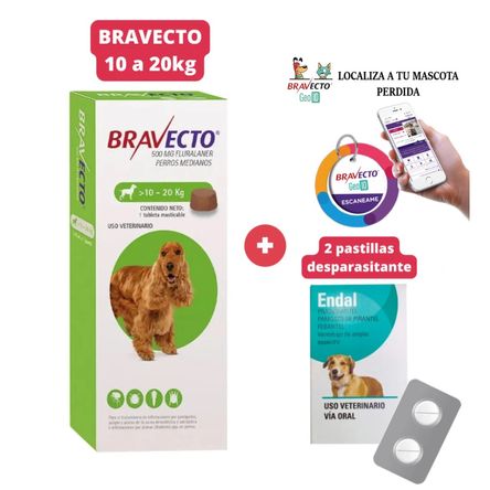 Antipulgas Bravecto para perros de 10 - 20 kg más Geolocalizador para Mascota