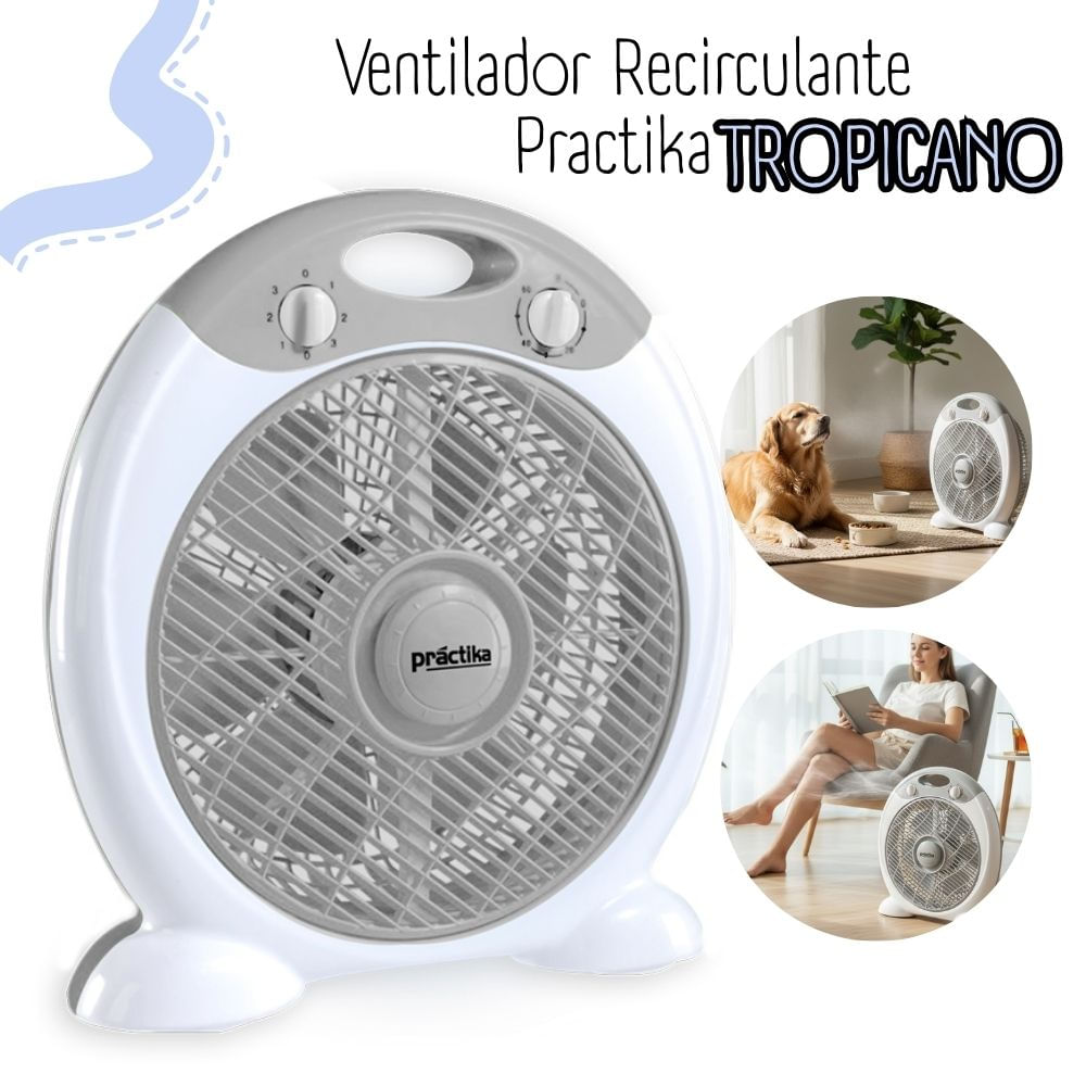 Ventilador Recirculador Practika De 10