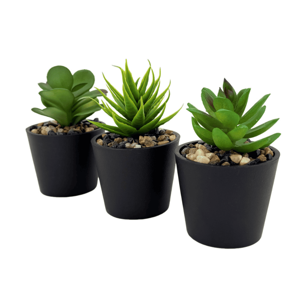 Set x 3 Suculentas Artificiales Orange