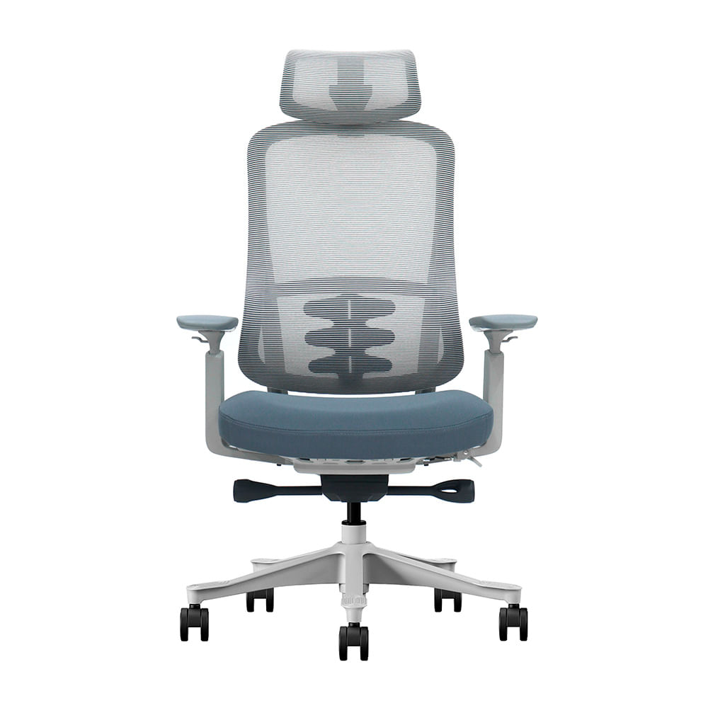 Silla de Oficina Ergonómica Profesional Evox S3-GH