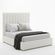 imageUrl_1