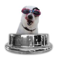 PLATO DE ALUMINIO PARA MASCOTA PERRO