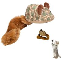 RATON JUGUETE INTERACTIVO CON DISEÑO PARA GATOS