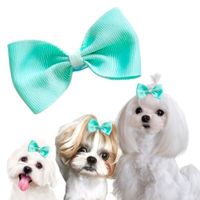 MOÑO PARA MASCOTAS VERDE AGUA - GRANDE