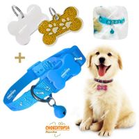 PLACA Y COLLAR PARA MASCOTAS CON CASCABEL - GOLDEN y CELESTE