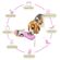 imageUrl_4