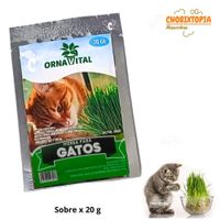 SEMILLA DE HIERBA GATERA EN SOBRE x 20g