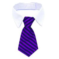 CORBATA CON CUELLO PARA MASCOTA MORADA RAYAS