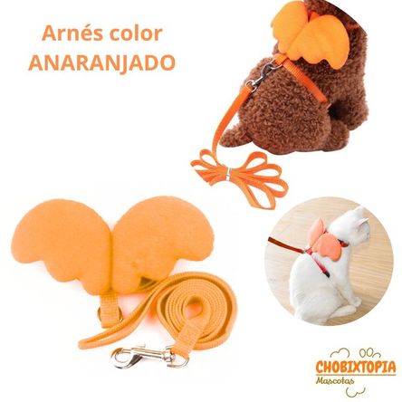 imageUrl_1 imageUrl_1