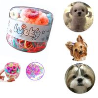 LIGAS DE COLORES PARA MASCOTAS PERRO Y GATO